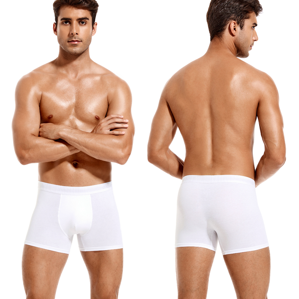 6pcs White Men Panties Cotton  - đánh giá và giá Boxer Brief Pack Cotton