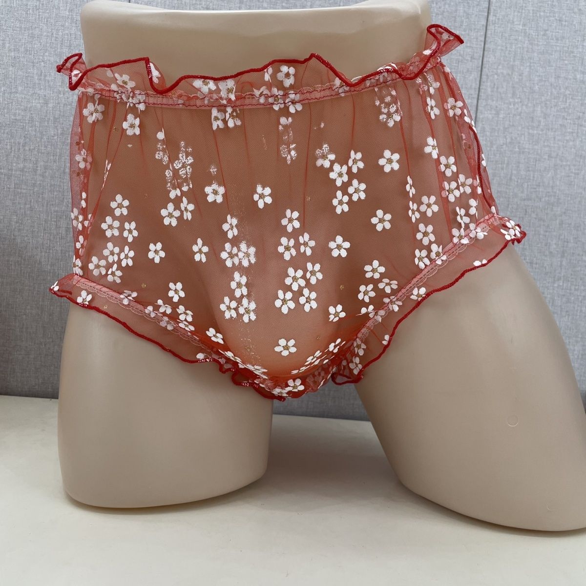 Mesh Men's Briefs Front Widene - đánh giá và giá Pouch Boxer Pouch